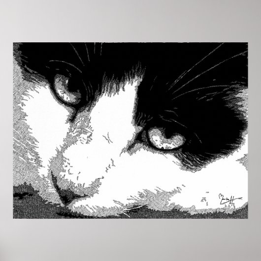 Pen en inktkat poster (Voorkant)