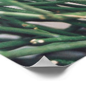 Pencil Cactus - Gepersonaliseerd Poster (Hoek)