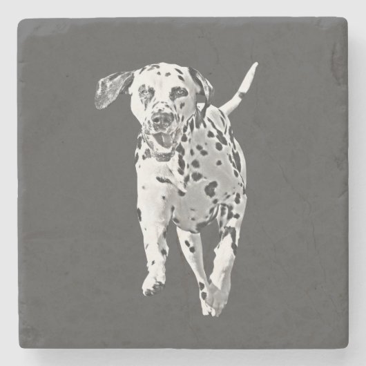 Pencil Dalmatian Marble Stone Onderzetter (Voorkant)