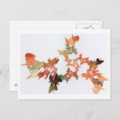 Pencil Shavings Briefkaart (Voorkant / Achterkant)