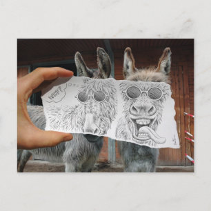 Pencil Vs Camera - Crazy Donkeys Briefkaart