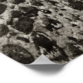 Pencil Vs Camera - Mouth Poster (Hoek)