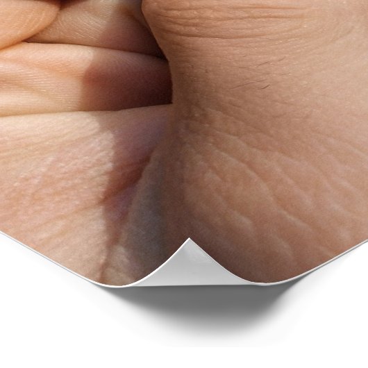 Pencil Vs Camera - Tightrope Walker Poster (Hoek)