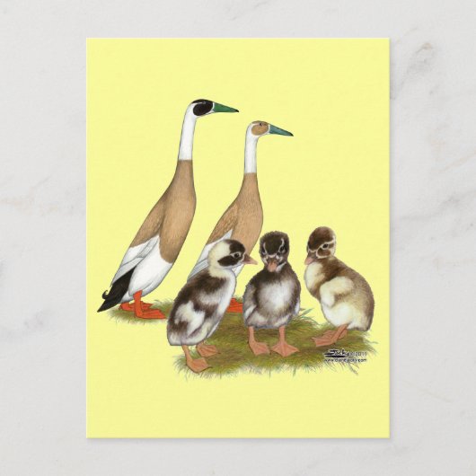 Penciled Runner Duck Family Briefkaart (Voorkant)