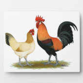 Penedesenca Chickens Fotoplaat (Voorkant)