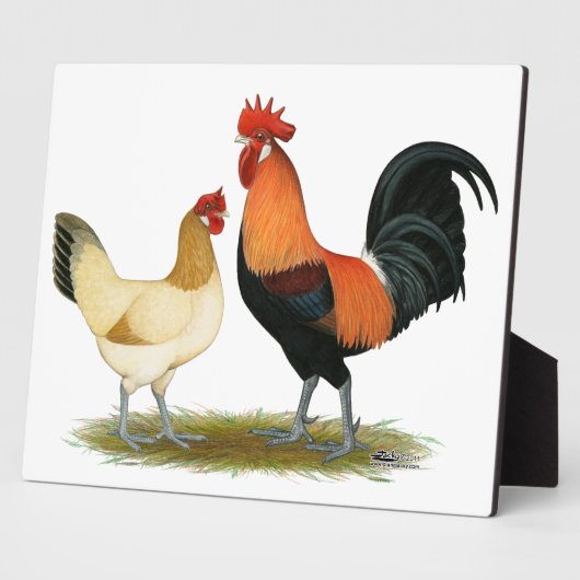 Penedesenca Chickens Fotoplaat (Zijkant)