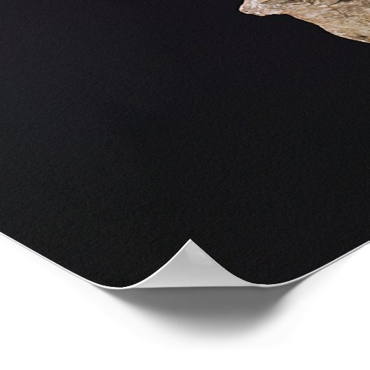 Penelope Poster (Hoek)