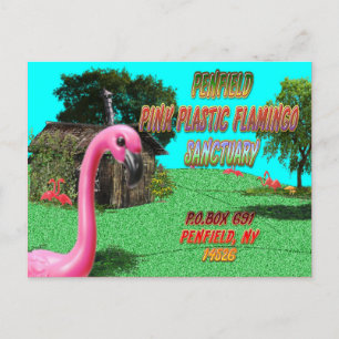 penfield roze plastic flamingo sanctuary briefkaar briefkaart