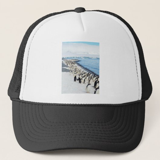 Pengiuns op een strand trucker pet (Voorkant)