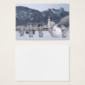 Pengphants doux (Devant & derrière)