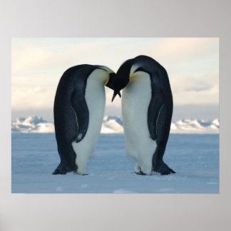 Penguin Arctic Birthday Shower Party Love Destiny Poster