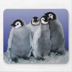 Penguin Babies Muismat