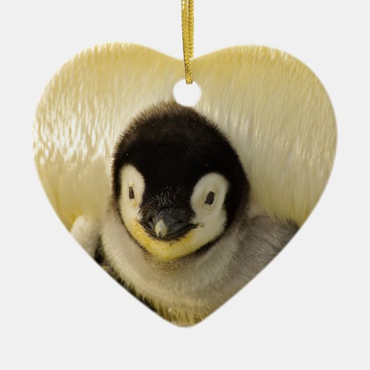Penguin baby keramisch ornament (Voorkant)
