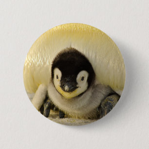 Penguin baby ronde button 5,7 cm