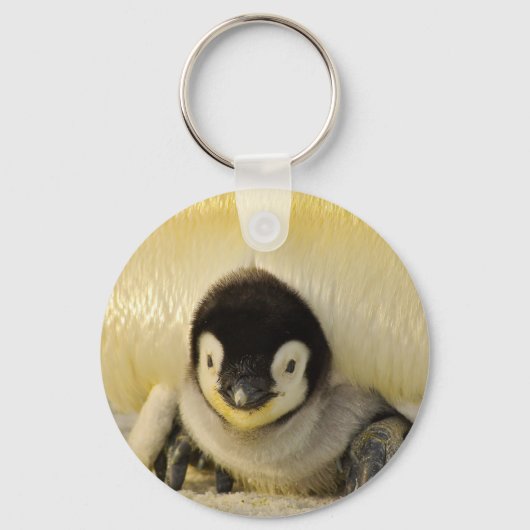 Penguin baby sleutelhanger (Voorkant)