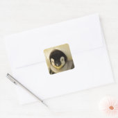 Penguin baby vierkante sticker (Envelop)