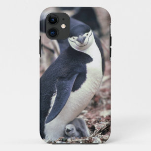 Penguin Bird Leuk Dier Zwart Wit Water iPhone 11 Hoesje