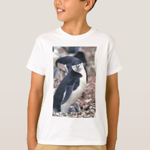 Penguin Bird Leuk Dier Zwart Wit Water T-shirt
