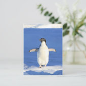 Penguin Briefkaart (Staand voorkant)
