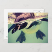 Penguin Briefkaart (Voorkant / Achterkant)
