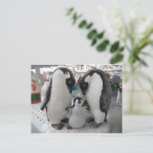 Penguin Briefkaart (Staand voorkant)