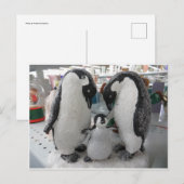 Penguin Briefkaart (Voorkant / Achterkant)