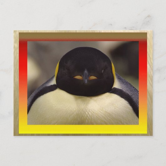 Penguin Briefkaart (Voorkant)