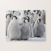 Penguin buddies legpuzzel (Horizontaal)