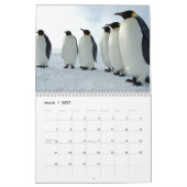 Penguin Calendar Kalender (Mar 2027)