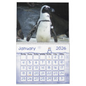 Penguin Calendar Kalender (Jan 2026)