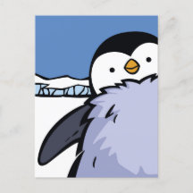 Penguin Chick Close Post Card