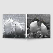 Penguin Colour Splash (Complet)