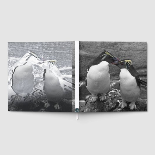 Penguin Colour Splash (Complet)