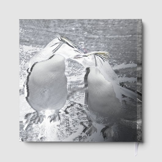 Penguin Colour Splash (Verso)