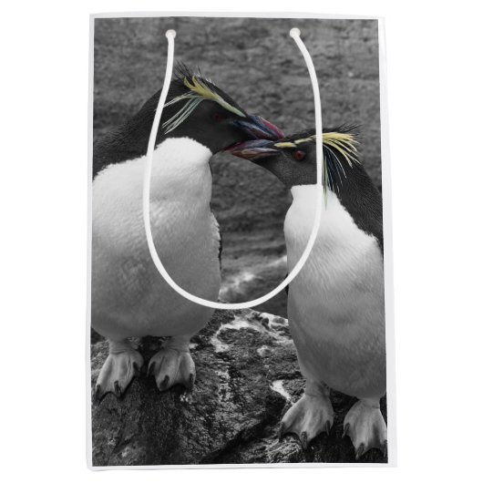 Penguin Colour Splash Medium Cadeauzakje (Voorkant)