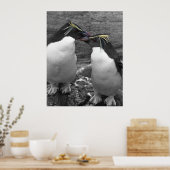 Penguin Colour Splash Poster (Keuken)