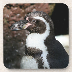 Penguin Cork Onderzetter set