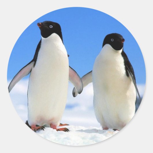 Penguin Couple Ronde Sticker (Voorkant)