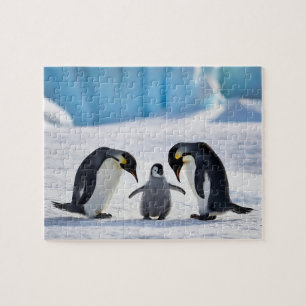 Penguin Family Puzzle