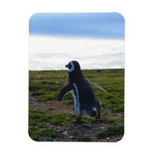Penguin Flexible Magnet Magneet