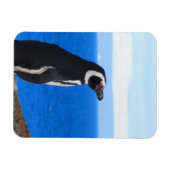 Penguin Flexible Magnet Magneet (Horizontaal)