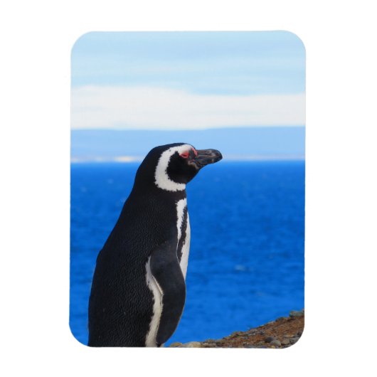 Penguin Flexible Magnet Magneet (Verticaal)