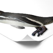 Penguin Foto Afdruk (Hoek)