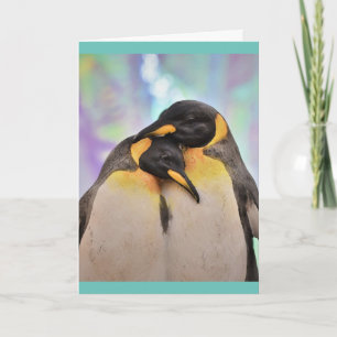 PENGUIN Fotografie Wenskaart Kaart