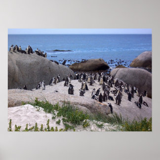 Penguin Friends Poster