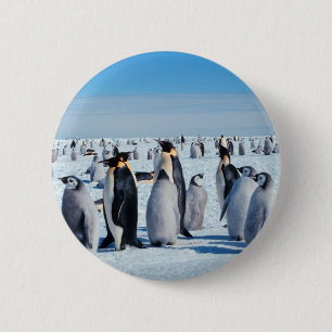 Penguin Gathering Ronde Button 5,7 Cm