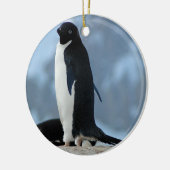 Penguin in Antarctica Ornament (Links)