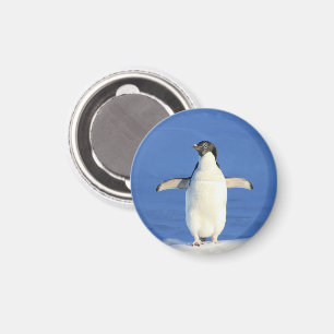 Penguin in the Snow Magnet Magneet