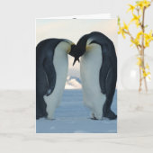 Penguin Kaart (Gele Bloem)