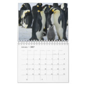 Penguin Kalender (Jan 2027)